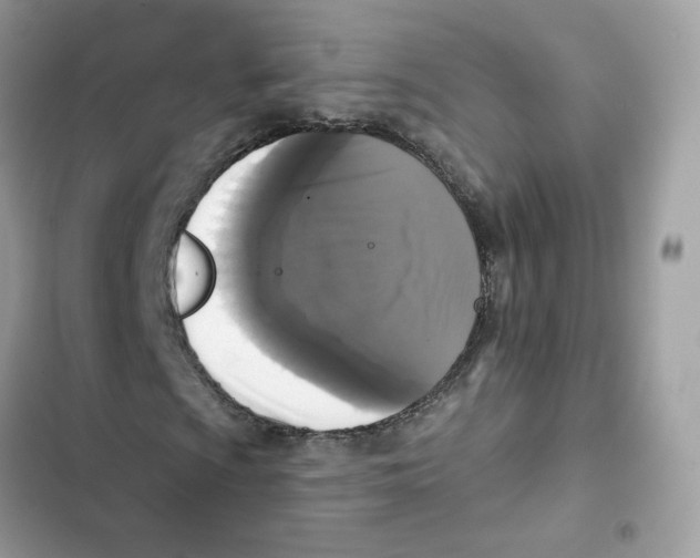 X0000102001009200808151442