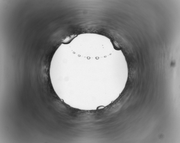 X0000102001010200808151442