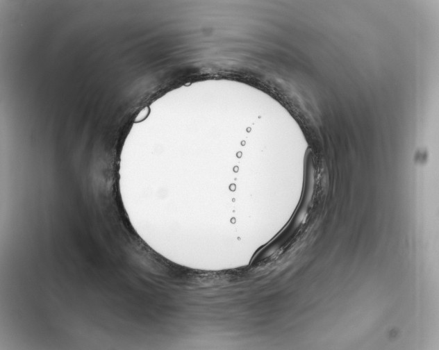 X0000102001012200808151442