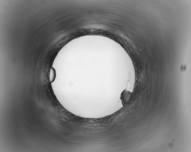 X0000102001014200808151442