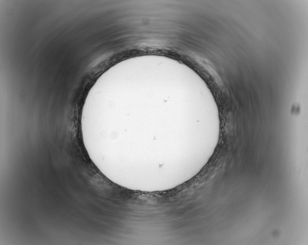 X0000102001015200808151442