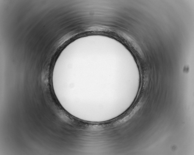 X0000102001017200808151442