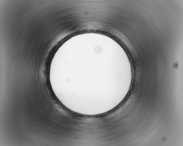 X0000102001018200808151442