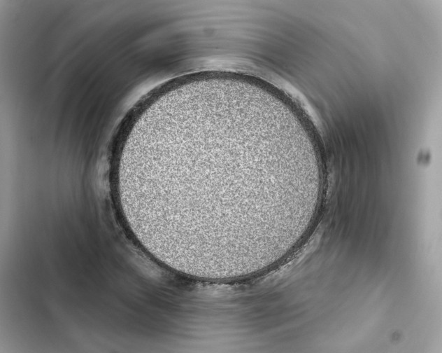 X0000102001019200808151442