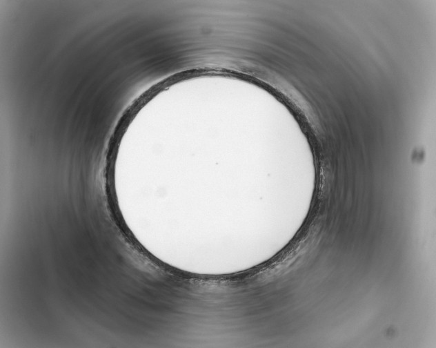 X0000102001020200808151442