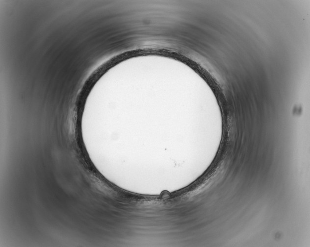 X0000102001021200808151442