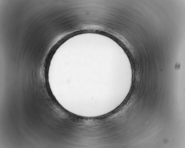 X0000102001022200808151442