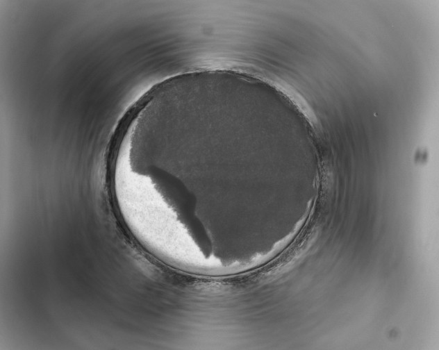 X0000102001023200808151442