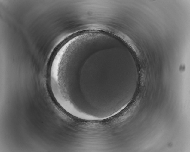 X0000102001024200808151442