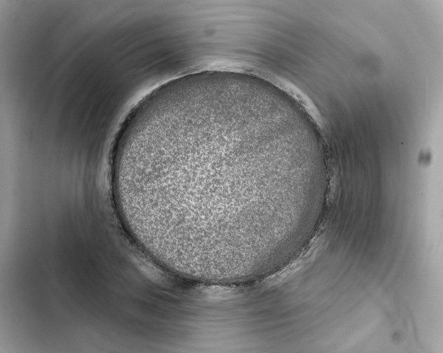 X0000102001027200808151442