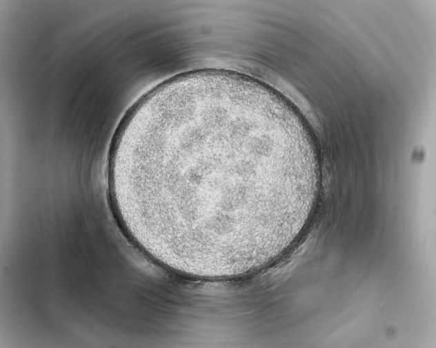 X0000102001028200808151442