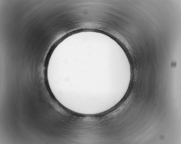 X0000102001029200808151442