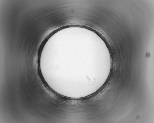 X0000102001030200808151442