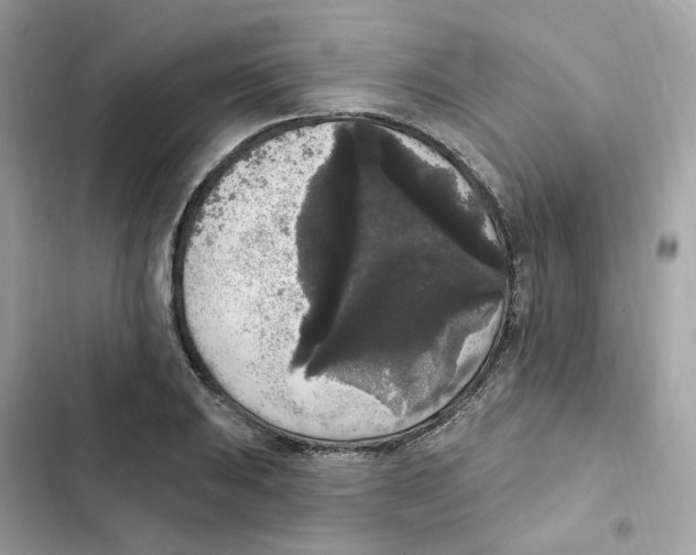 X0000102001031200808151442