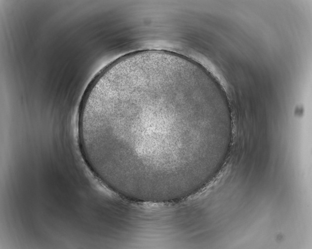 X0000102001032200808151442