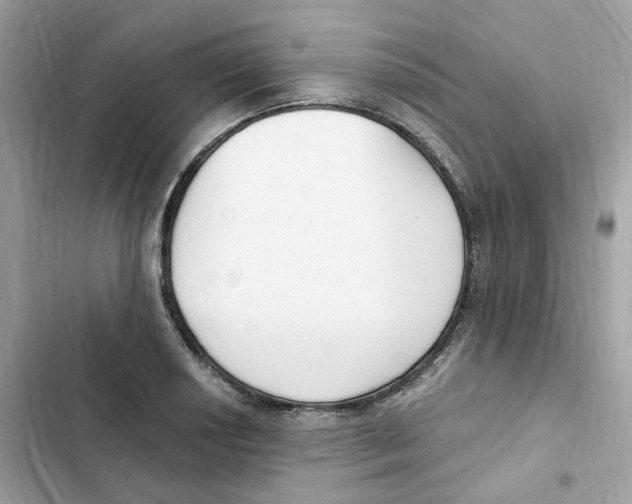 X0000102001034200808151442