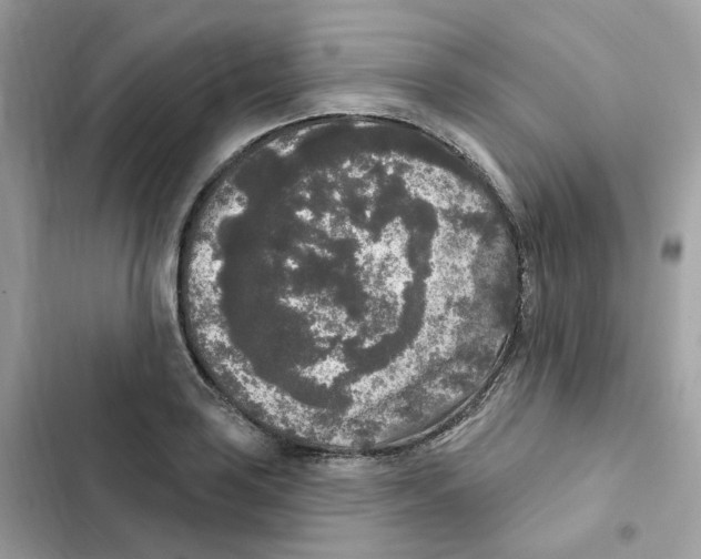 X0000102001035200808151442