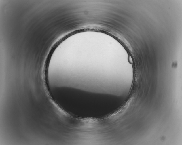 X0000102001037200808151442