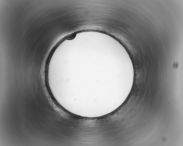 X0000102001038200808151442