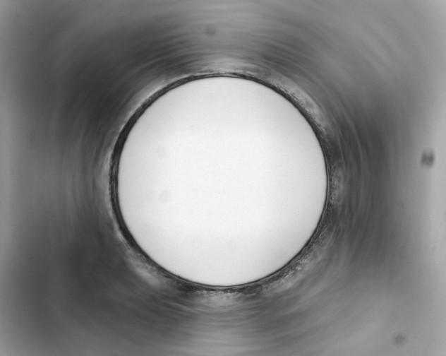 X0000102001039200808151442