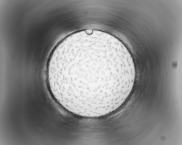 X0000102001040200808151442