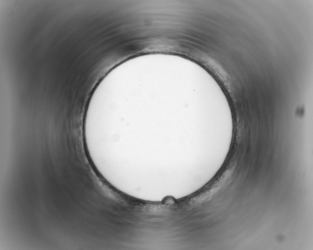 X0000102001041200808151442