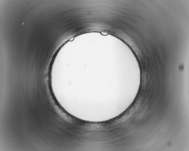 X0000102001042200808151442