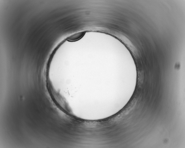 X0000102001046200808151442