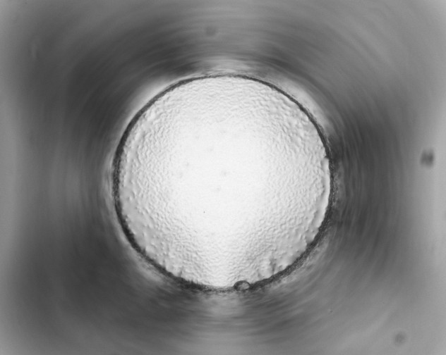 X0000102001047200808151442