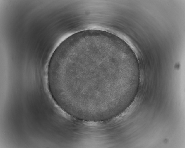 X0000102001048200808151442