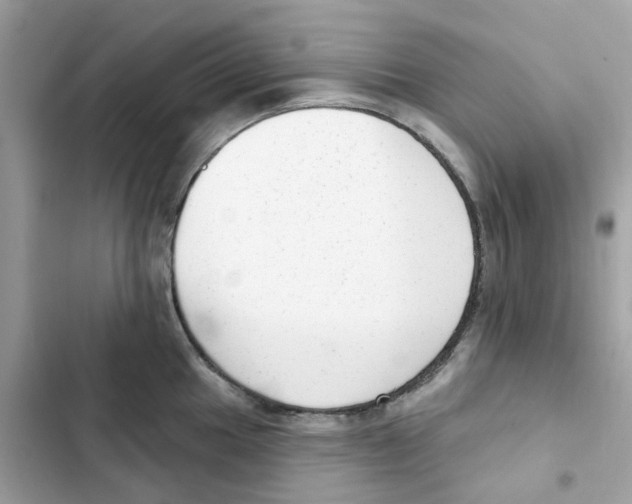 X0000102001049200808151443