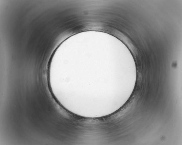 X0000102001050200808151443