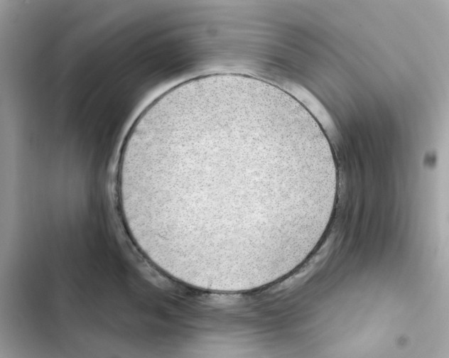 X0000102001052200808151443