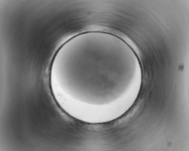 X0000102001053200808151443