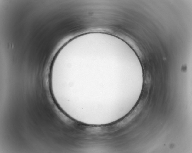 X0000102001054200808151443