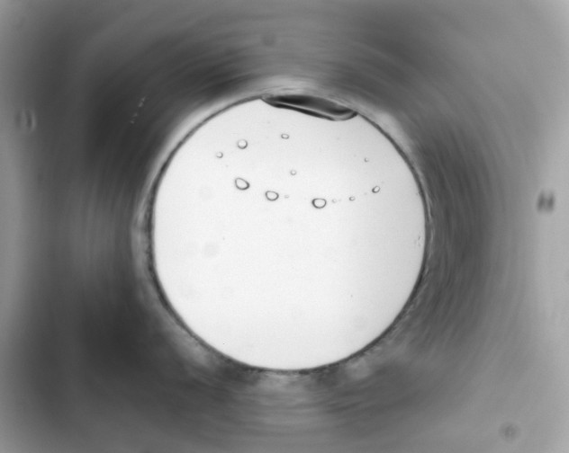 X0000102001056200808151443