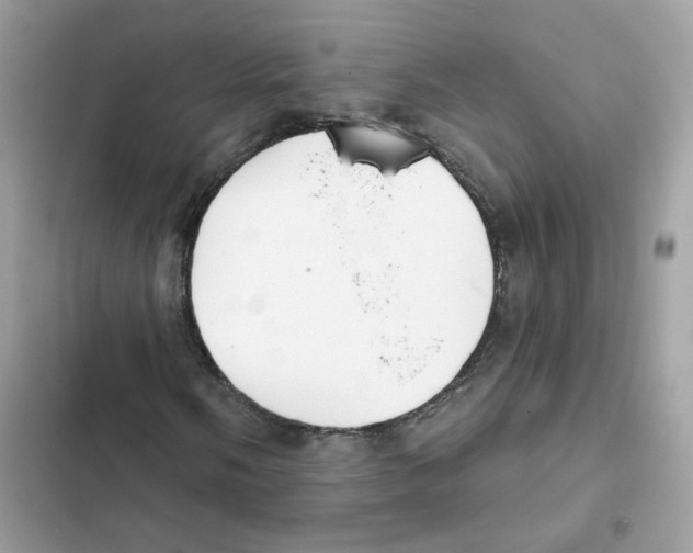 X0000102001058200808151442