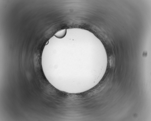 X0000102001059200808151442