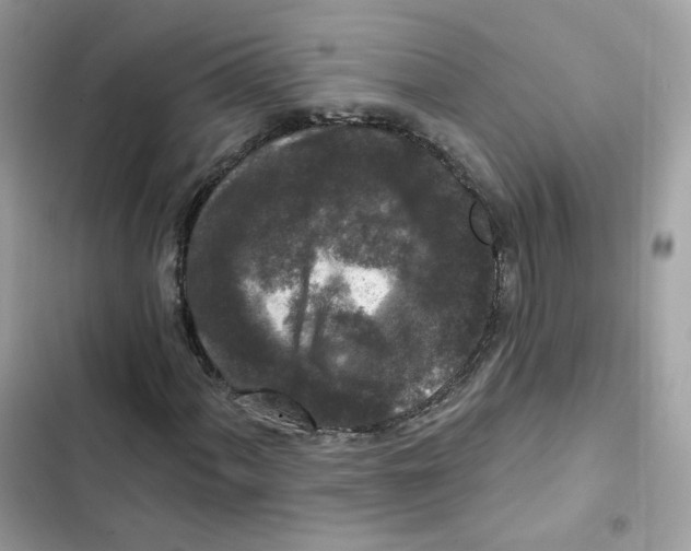 X0000102001060200808151442