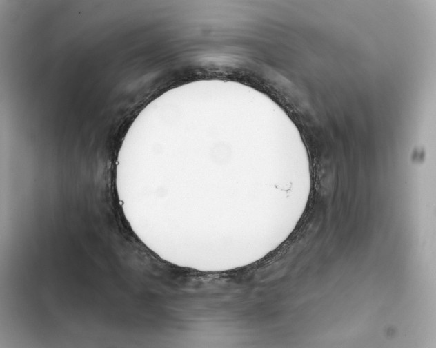 X0000102001061200808151442