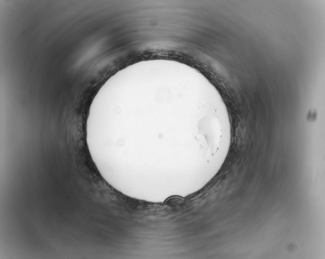 X0000102001062200808151442