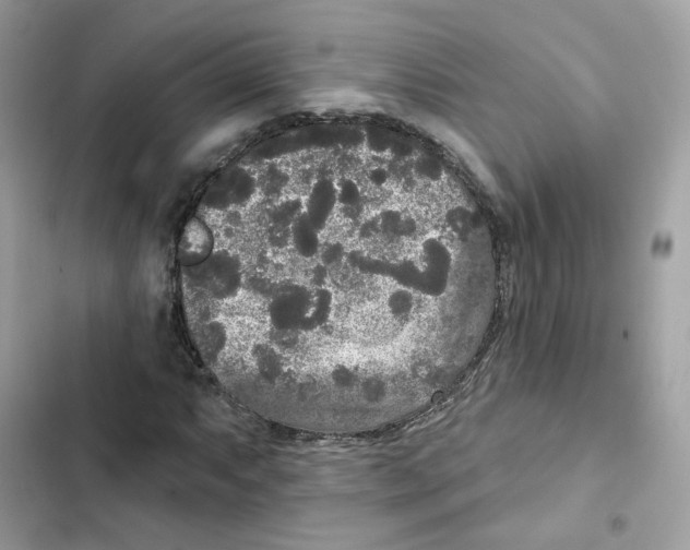 X0000102001063200808151442