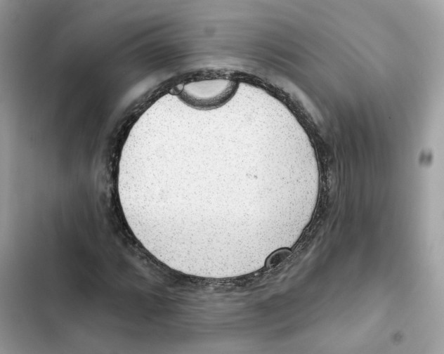 X0000102001064200808151442