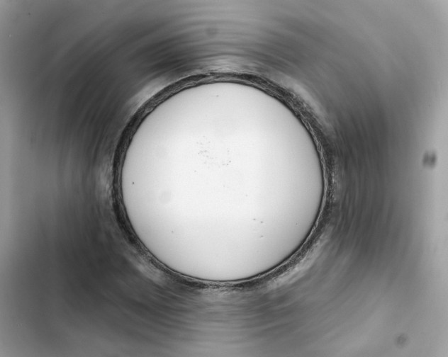 X0000102001065200808151442