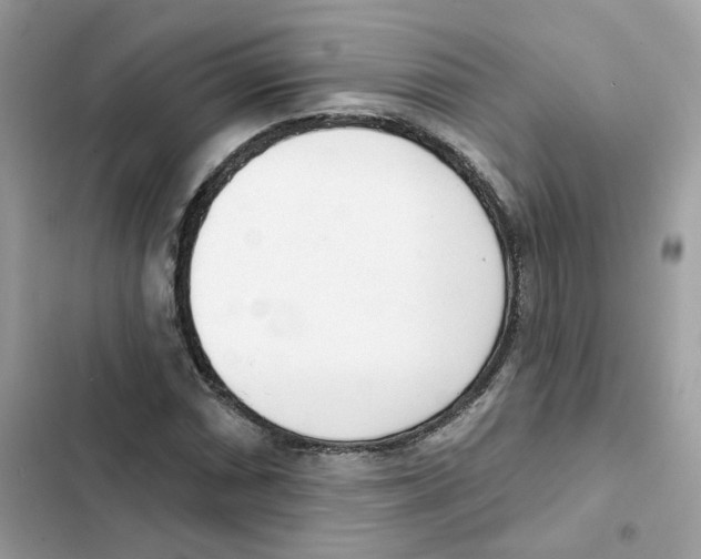 X0000102001066200808151442