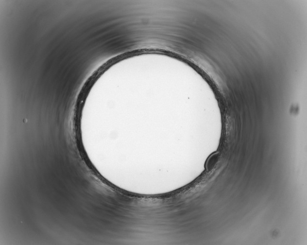 X0000102001068200808151442