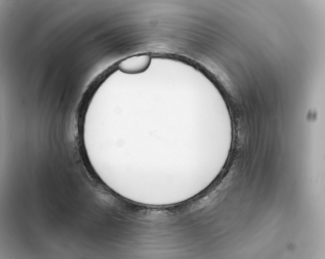 X0000102001070200808151442