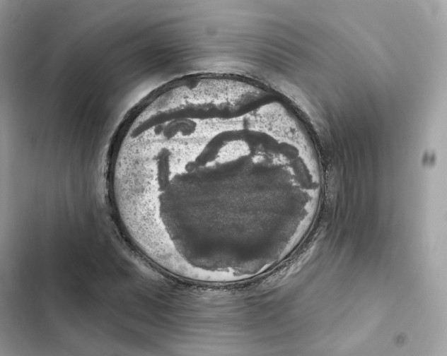 X0000102001071200808151442