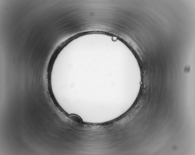 X0000102001072200808151442