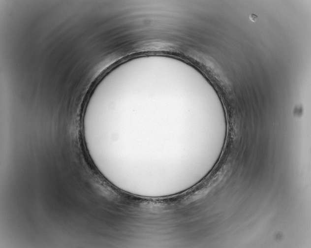 X0000102001073200808151442